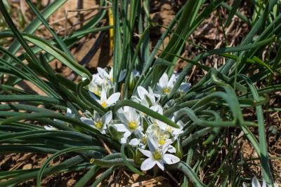 Прикрепленное изображение: IMG_7374.jpg